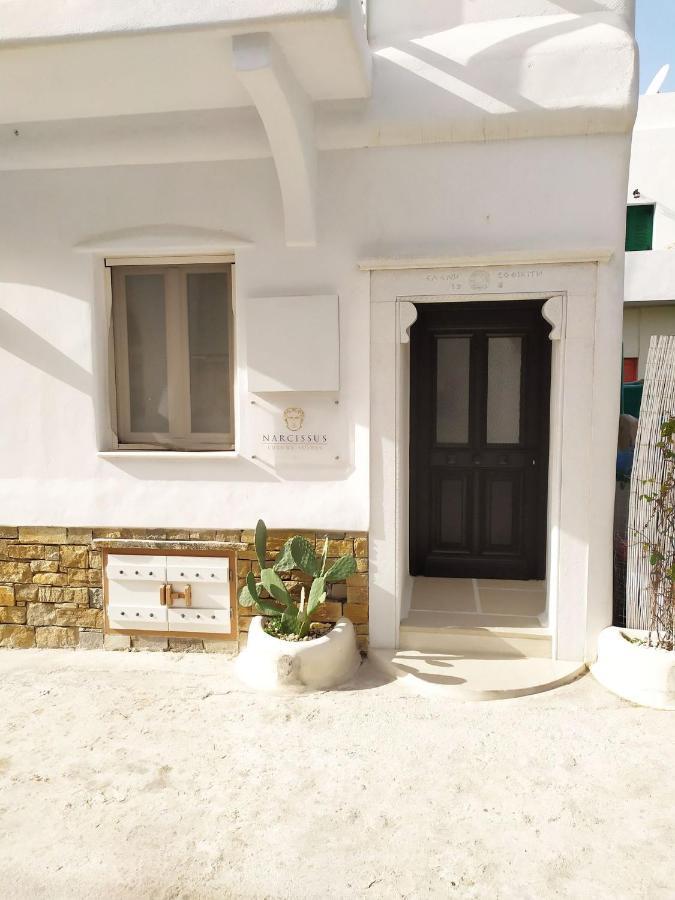 Narcissus Luxury Suites Naxos City Экстерьер фото